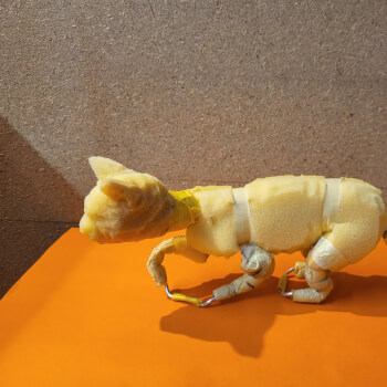 Modelling Foam and Creating Pose