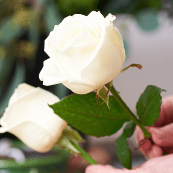 Selecting your flowers