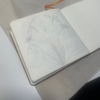 Sketch an idea