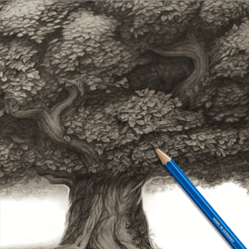 Lesson Three: Drawing Foliage