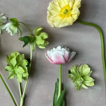 Choose your flowers