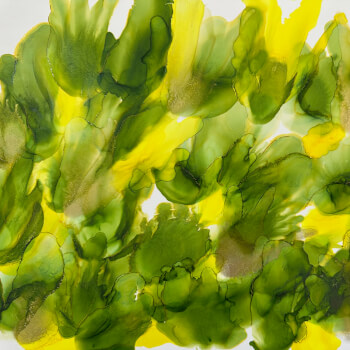 Create your own artwork to take home 