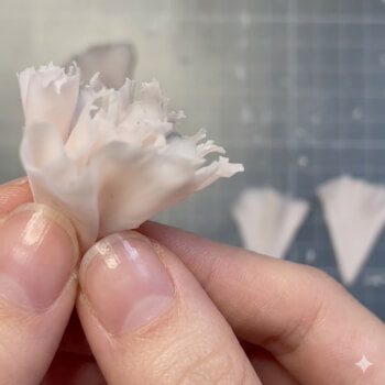 Make your carnation