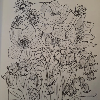 Draw or Trace Your Design
