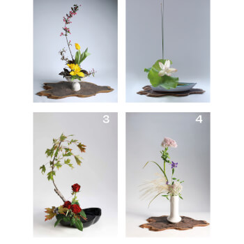 Rising Form - 4 classes
