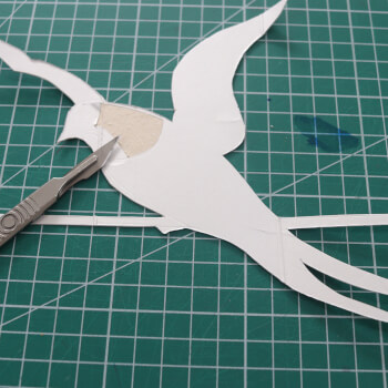 Cut out