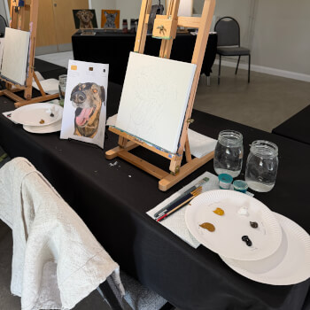 Pet Portrait Prep