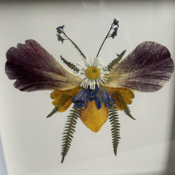Pressed Flowers
