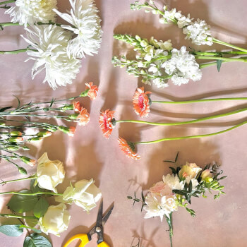 Choose colourful flowers 