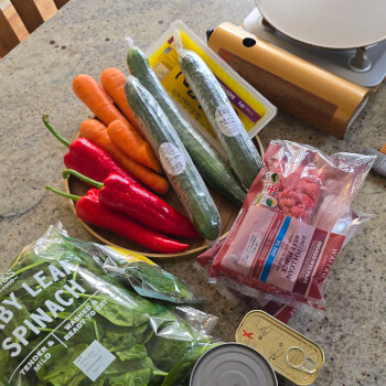 Introduction To Ingredients
