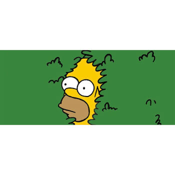 4. Design Option: Bush Buddy