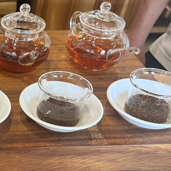 Tea tasting and sensory experience