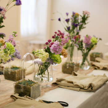 Meet the Blooms