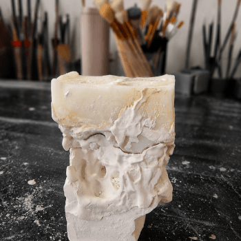 Build the Plaster Structure