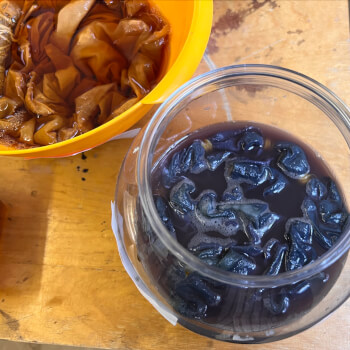 Extract dyes from kitchen waste
