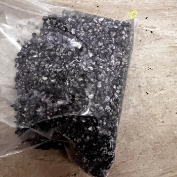 Cochineal