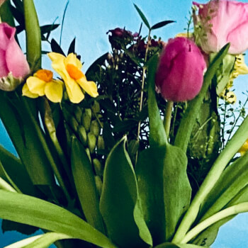 Choose Your Flowers 