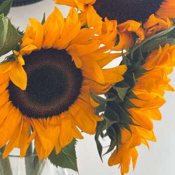 Choose your flowers 