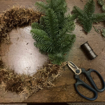Adding foliage