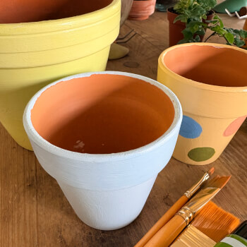 Starting with a primed terracotta pot