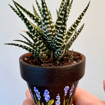 Have fun picking out the perfect plant buddy