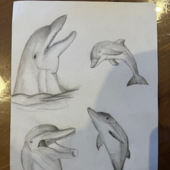 Step 2: Learn Techniques 🖌️ Now we build the skills.