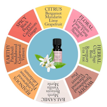 Essential Oils & Scent Families