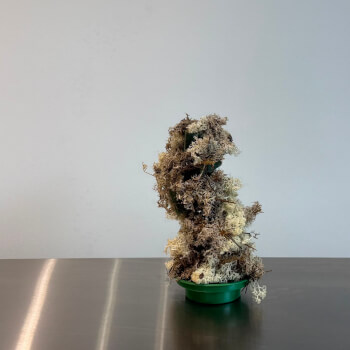 Build Your Sculptural Form