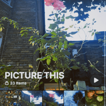 Curate your Perspective