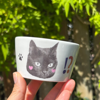 Enjoy Your Ceramics