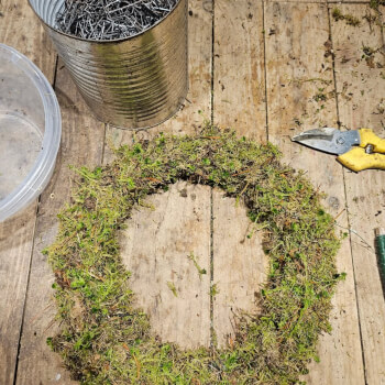 Creating your moss wreath base