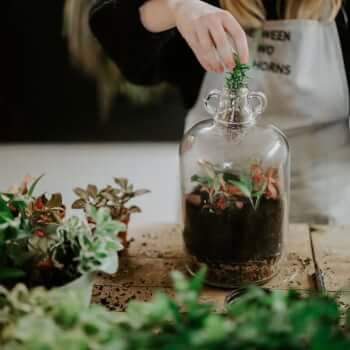 Planting up