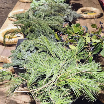 Greening Up Your Garland
