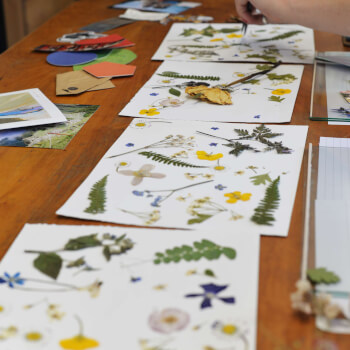 Design your wildflower piece