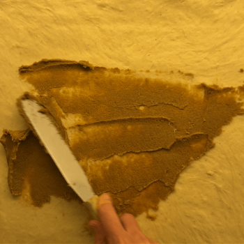 Filling with Cinnamon 