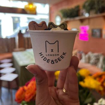 Pup cups all round!
