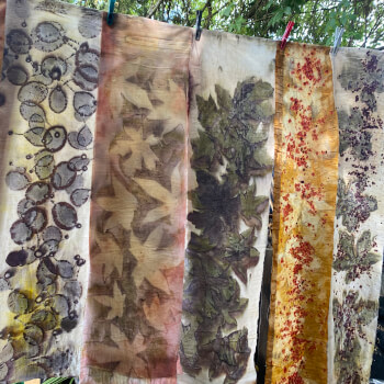 Natures textiles