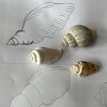 Create your design