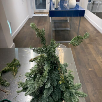 Bring Your Tree to Life