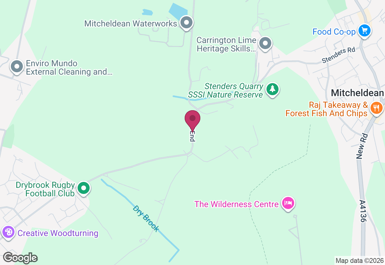 Forest Bathing Experince and Wellness Photography Class location
