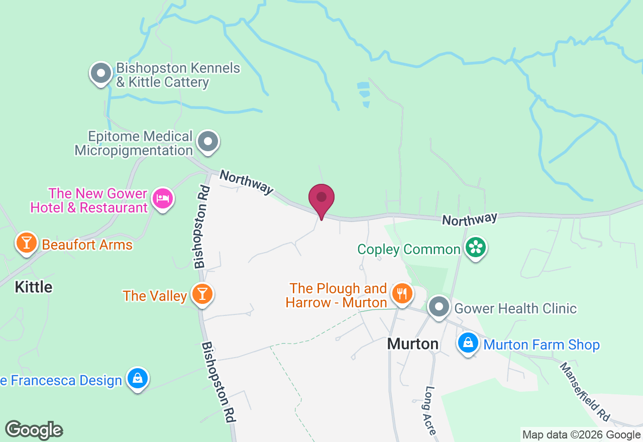 Highland Cow Needlefelt Workshop location