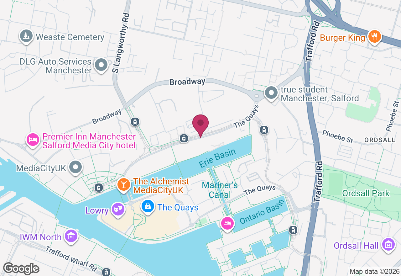 Picasso Dogs: Abstract Painting Workshop location