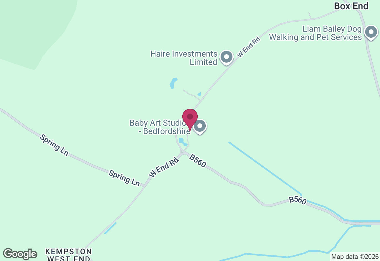 Polar Bear Pottery Workshop location