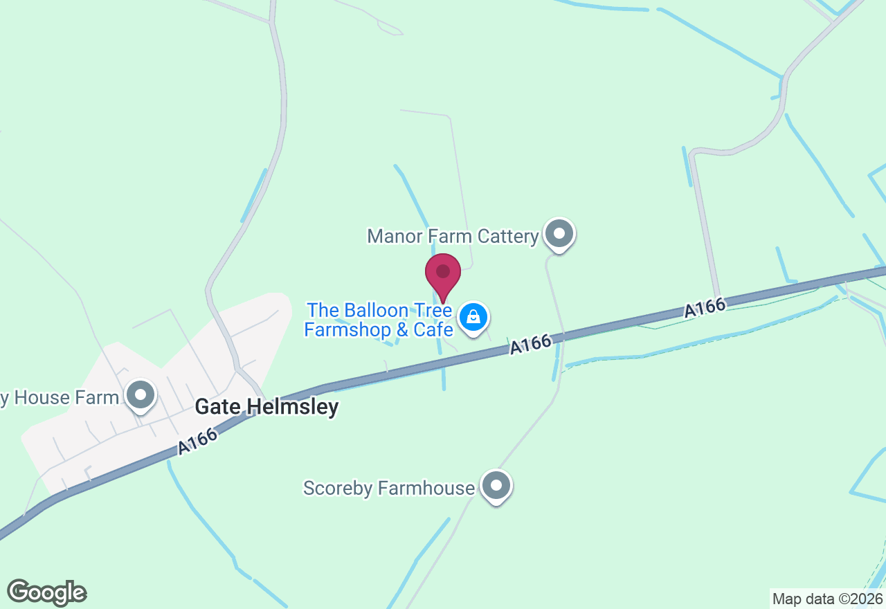 Rocking Horse Head Wood Carving Course location