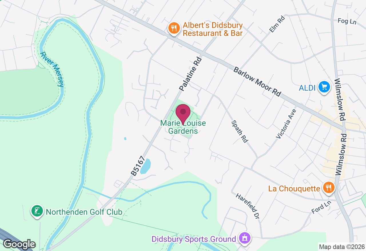 Plein Air Tree Drawing Class location