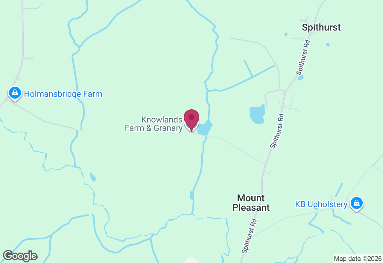 Raku Pottery Workshop in the Woods location