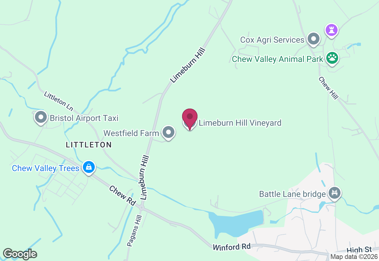 Drawing Workshop and Wine Tasting location