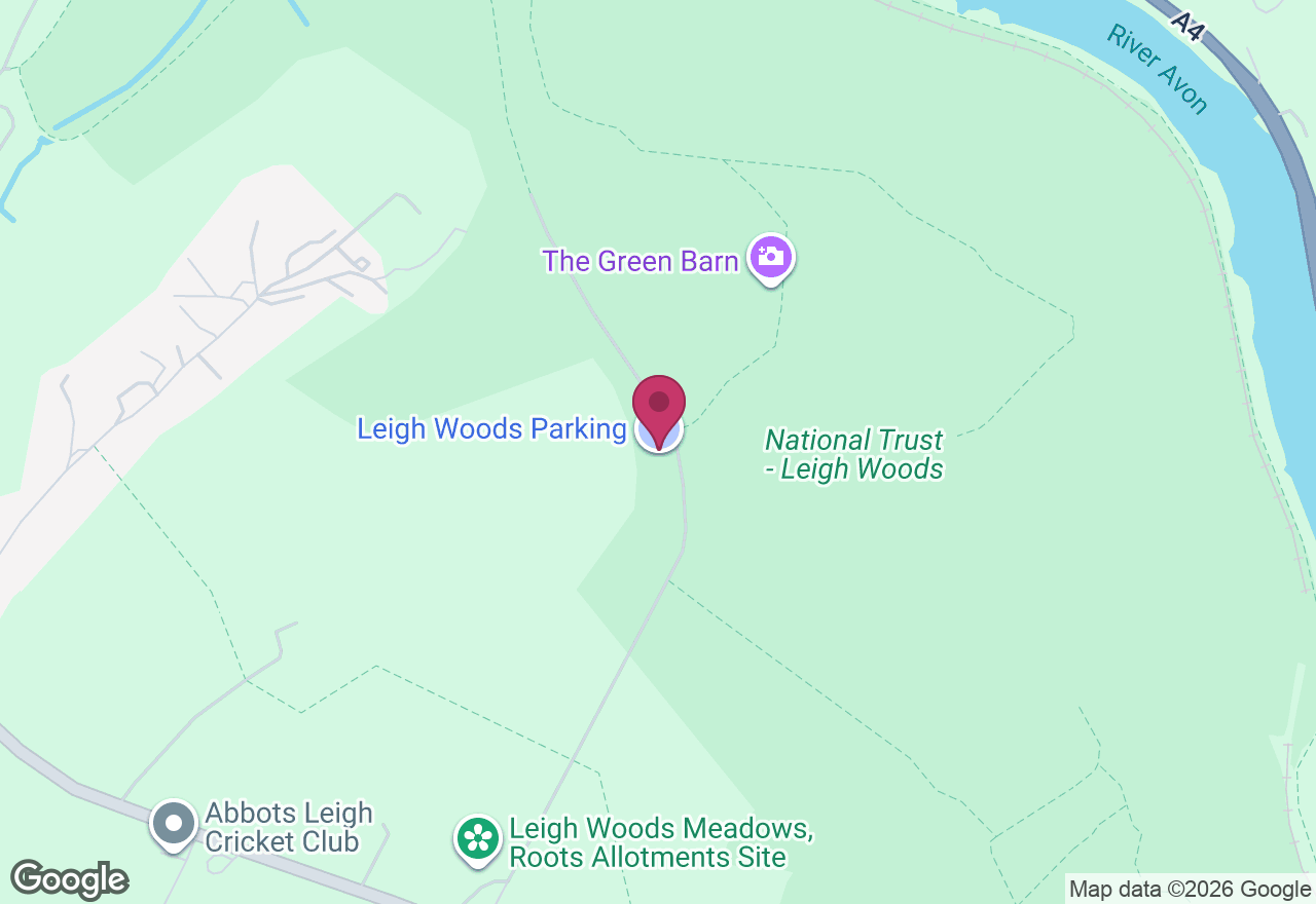 Woodland Sketchbook Workshop location