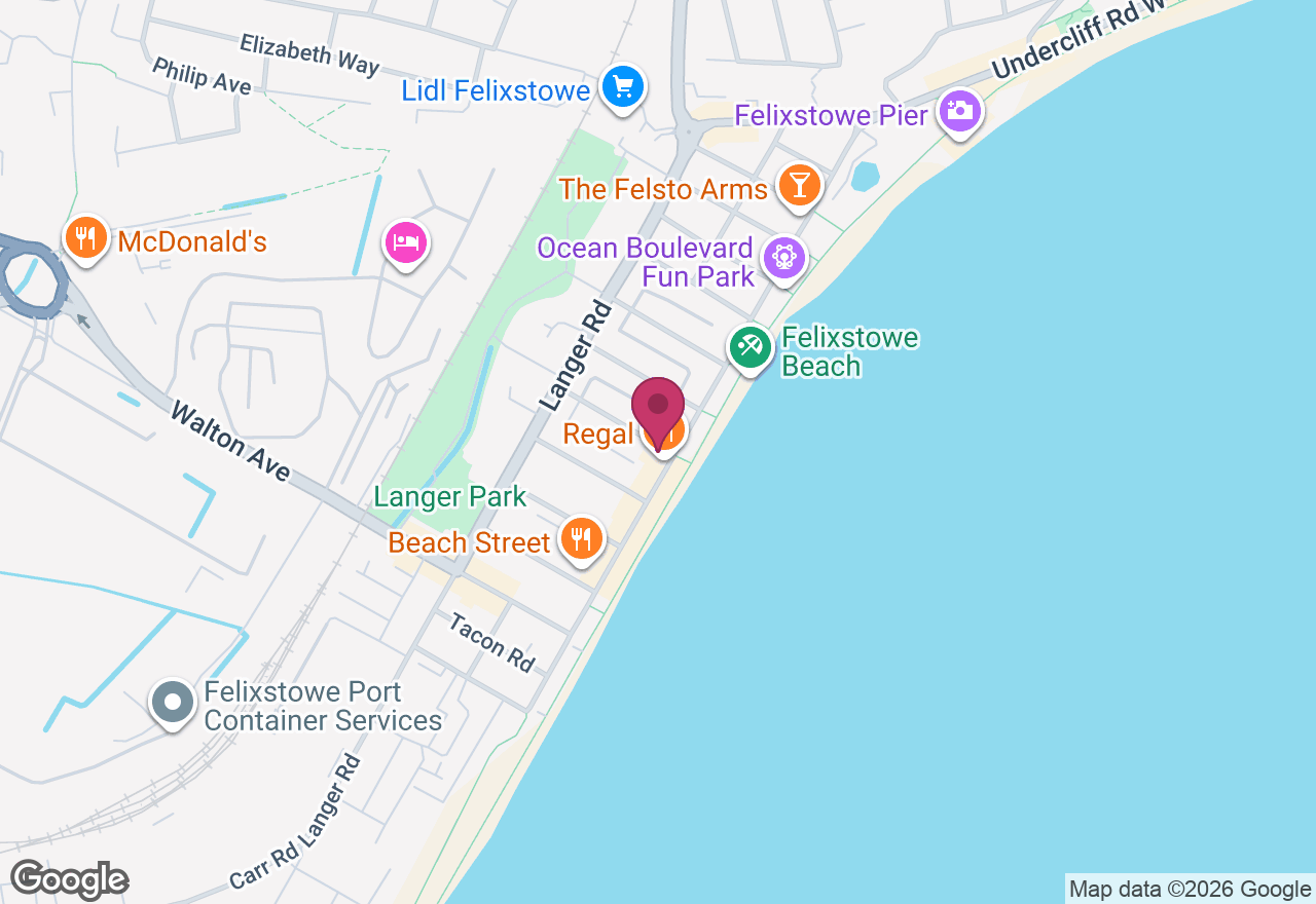 Giant Paper Flower Making Workshop - Felixstowe location