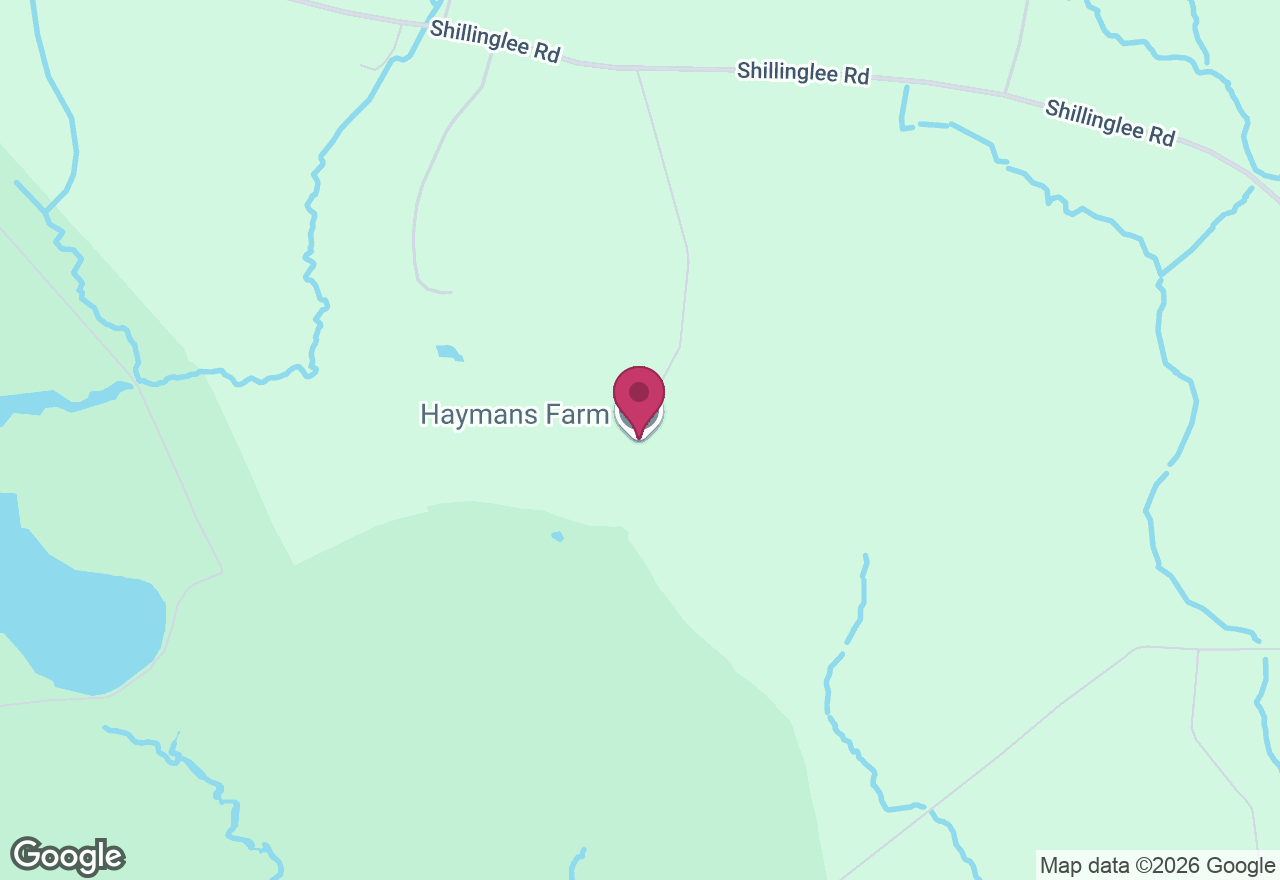 Log Bottom Kindling Basket Workshop location